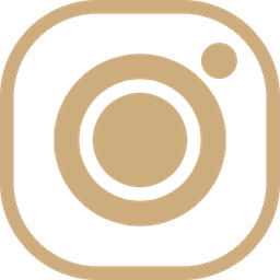 Instagram icon