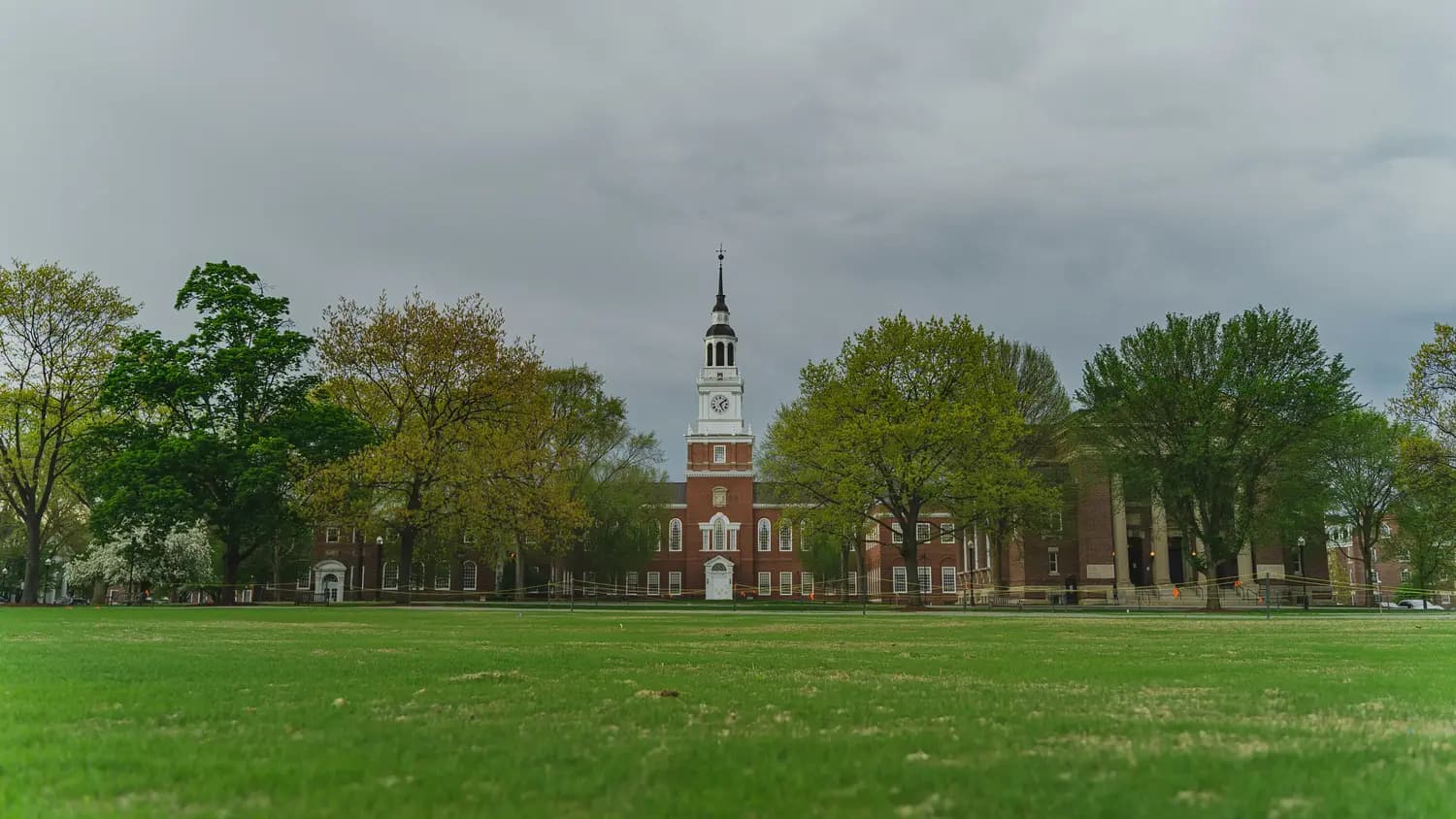 The Ivy League